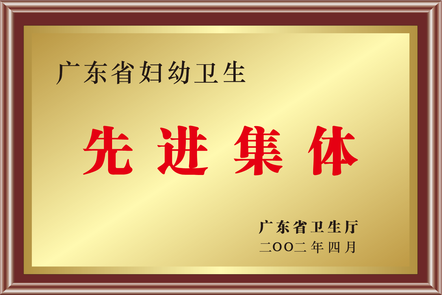 广东省妇幼先进集体