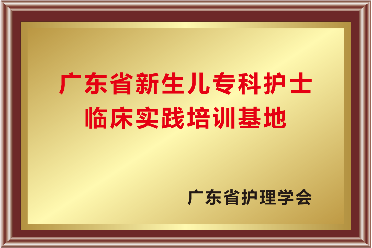 广东省新生儿专科护士临床实践培训基地